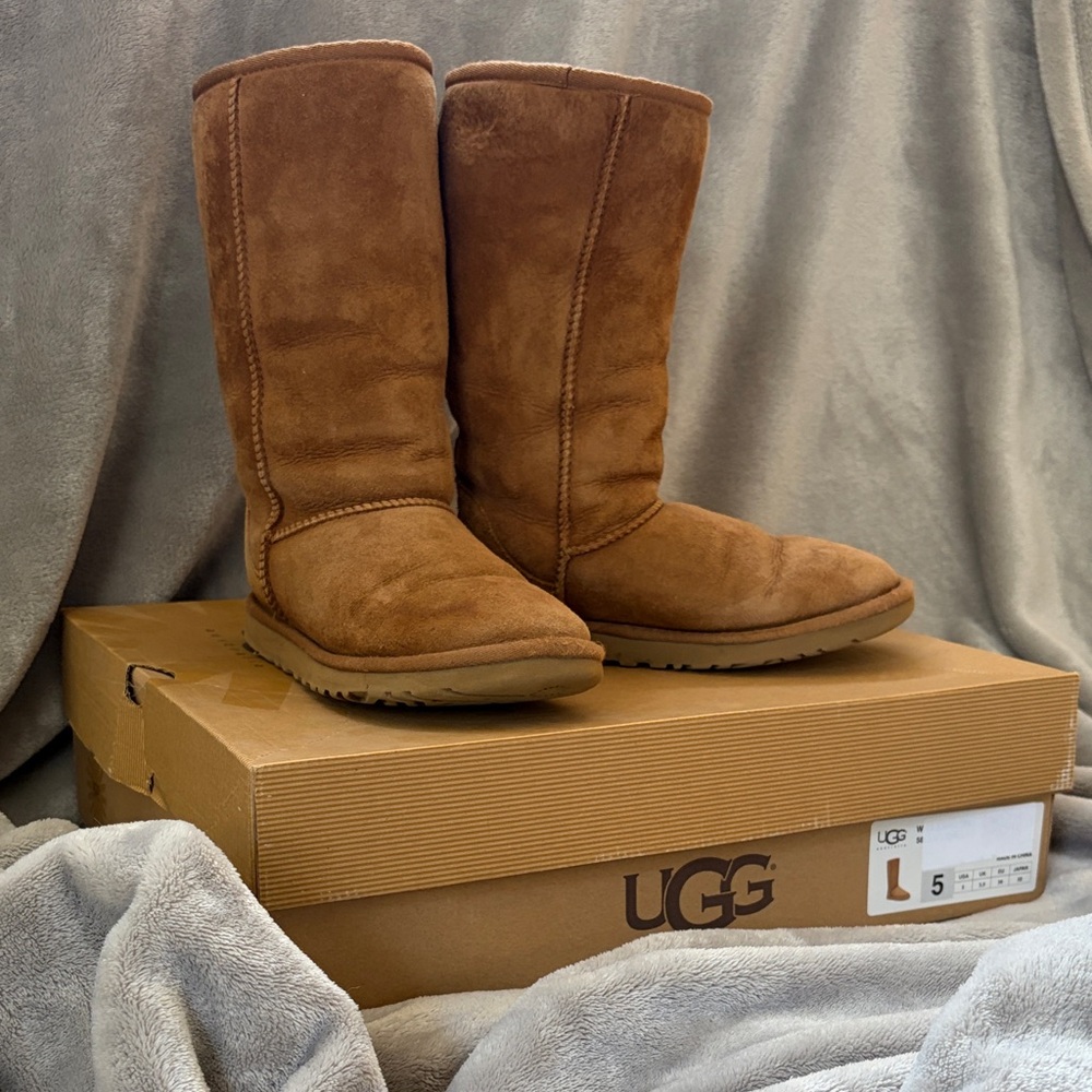 UGG Chestnut Suede Tall Boots